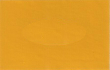 2007 Nissan Solar Yellow